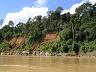 The Amazon River in Peru 